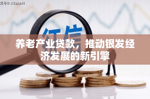 永嘉养老产业贷款，推动银发经济发展的新引擎