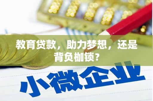 永嘉教育贷款，助力梦想，还是背负枷锁？