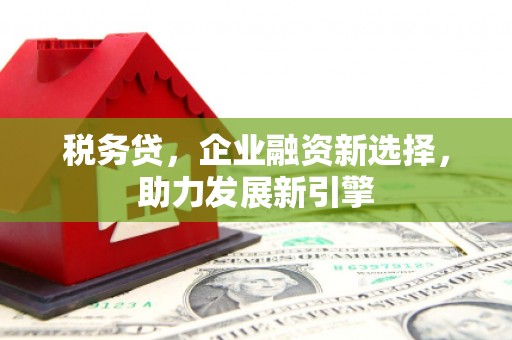永嘉税务贷，企业融资新选择，助力发展新引擎