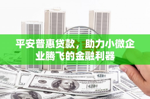 永嘉平安普惠贷款，助力小微企业腾飞的金融利器