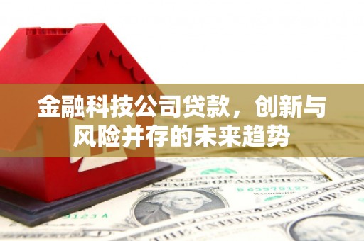 永嘉金融科技公司贷款，创新与风险并存的未来趋势