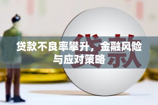 永嘉贷款不良率攀升，金融风险与应对策略