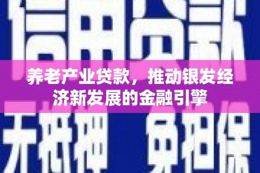 永嘉养老产业贷款，推动银发经济新发展的金融引擎