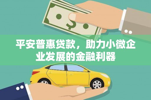 永嘉平安普惠贷款，助力小微企业发展的金融利器