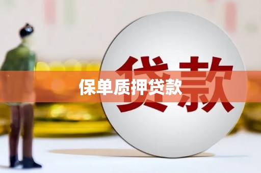 永嘉保单质押贷款