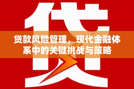 永嘉贷款风险管理，现代金融体系中的关键挑战与策略