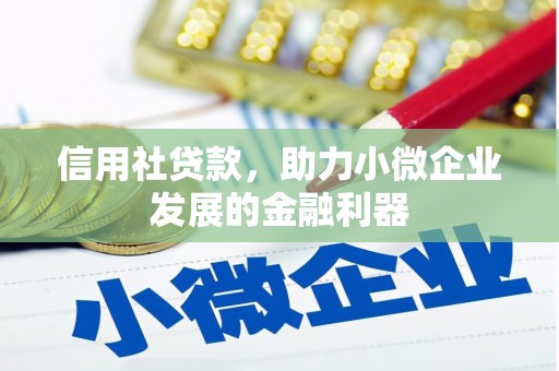 永嘉信用社贷款，助力小微企业发展的金融利器