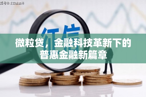 永嘉微粒贷，金融科技革新下的普惠金融新篇章
