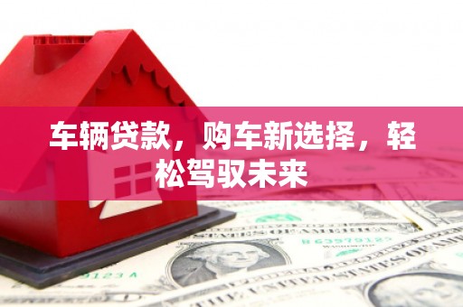 永嘉车辆贷款，购车新选择，轻松驾驭未来