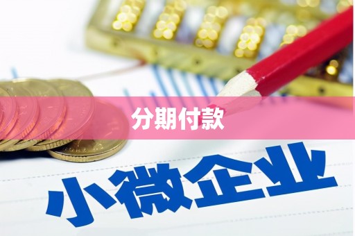 永嘉分期付款