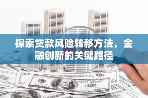 永嘉探索贷款风险转移方法，金融创新的关键路径