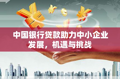 永嘉中国银行贷款助力中小企业发展，机遇与挑战