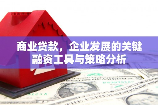 永嘉商业贷款，企业发展的关键融资工具与策略分析