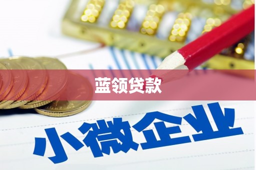 永嘉蓝领贷款