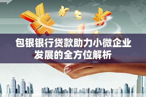 永嘉包银银行贷款助力小微企业发展的全方位解析