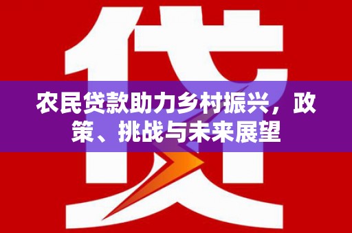 永嘉农民贷款助力乡村振兴，政策、挑战与未来展望