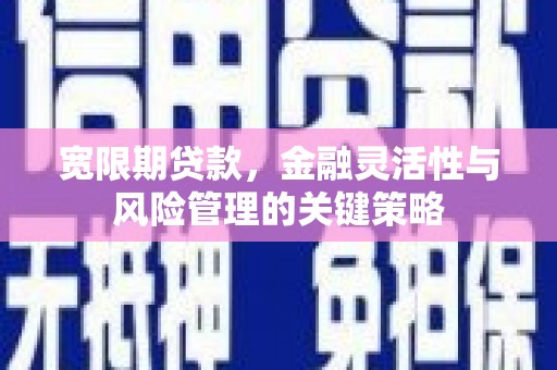 永嘉宽限期贷款，金融灵活性与风险管理的关键策略