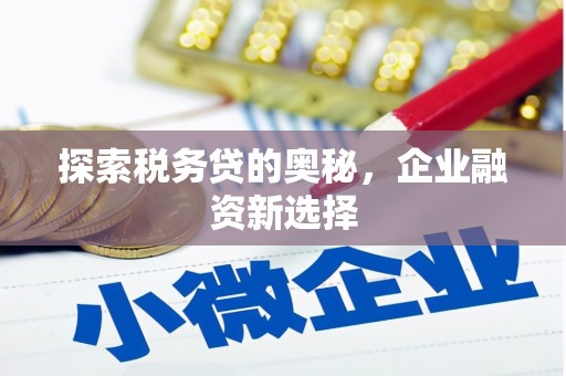 永嘉探索税务贷的奥秘，企业融资新选择