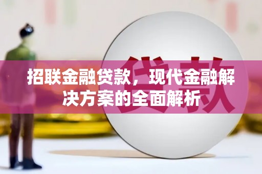 永嘉招联金融贷款，现代金融解决方案的全面解析