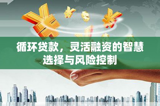 永嘉循环贷款，灵活融资的智慧选择与风险控制