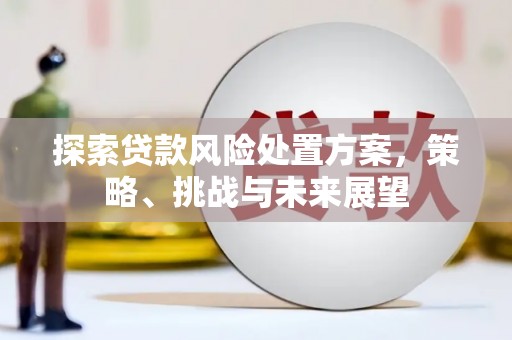 永嘉探索贷款风险处置方案，策略、挑战与未来展望