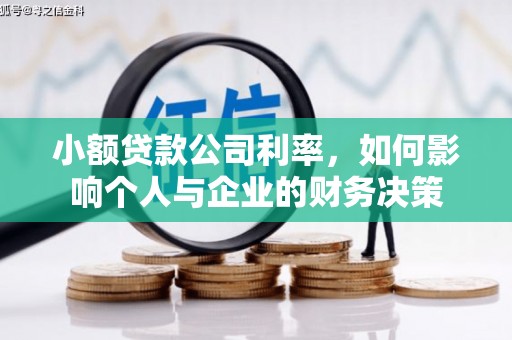 永嘉小额贷款公司利率，如何影响个人与企业的财务决策