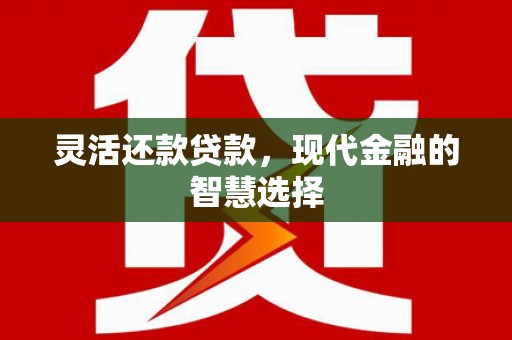 永嘉灵活还款贷款，现代金融的智慧选择