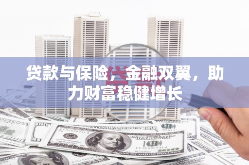 永嘉贷款与保险，金融双翼，助力财富稳健增长