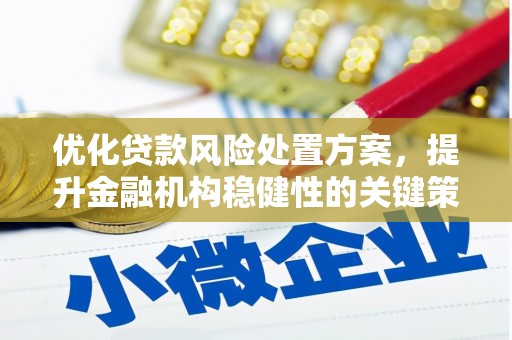 永嘉优化贷款风险处置方案，提升金融机构稳健性的关键策略