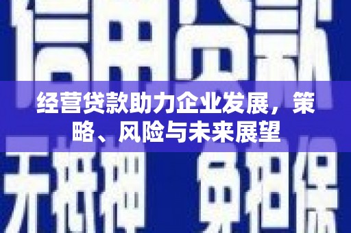 永嘉经营贷款助力企业发展，策略、风险与未来展望