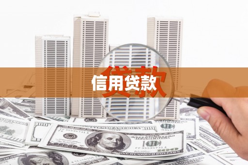 永嘉信用贷款
