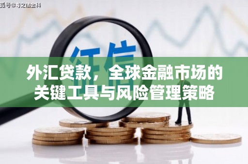 永嘉外汇贷款，全球金融市场的关键工具与风险管理策略