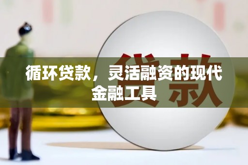 永嘉循环贷款，灵活融资的现代金融工具
