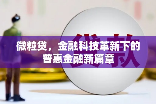永嘉微粒贷，金融科技革新下的普惠金融新篇章