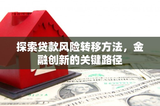 永嘉探索贷款风险转移方法，金融创新的关键路径