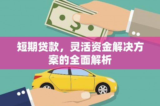 永嘉短期贷款，灵活资金解决方案的全面解析