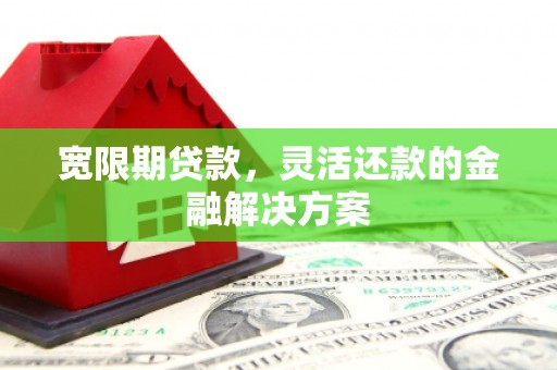 永嘉宽限期贷款，灵活还款的金融解决方案