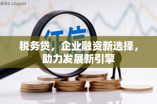 永嘉税务贷，企业融资新选择，助力发展新引擎