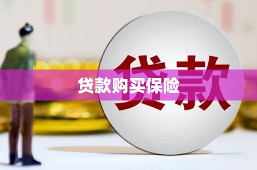 永嘉贷款购买保险