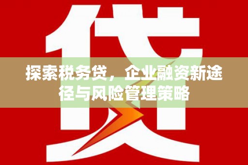 永嘉探索税务贷，企业融资新途径与风险管理策略