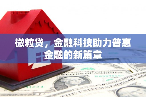 永嘉微粒贷，金融科技助力普惠金融的新篇章