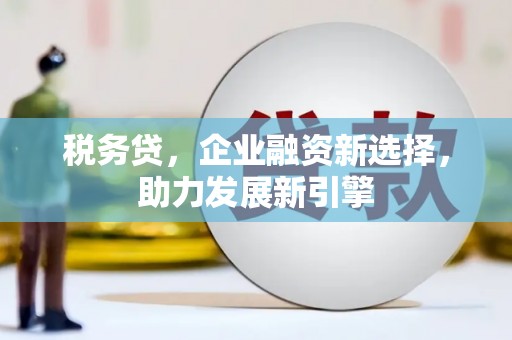 永嘉税务贷，企业融资新选择，助力发展新引擎