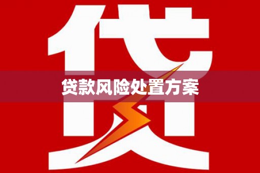 永嘉贷款风险处置方案