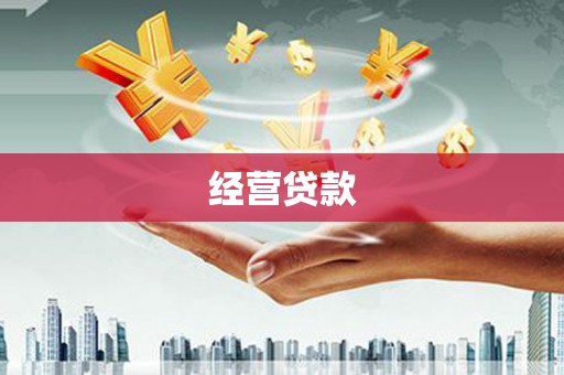 永嘉经营贷款