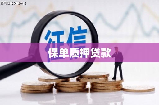 永嘉保单质押贷款