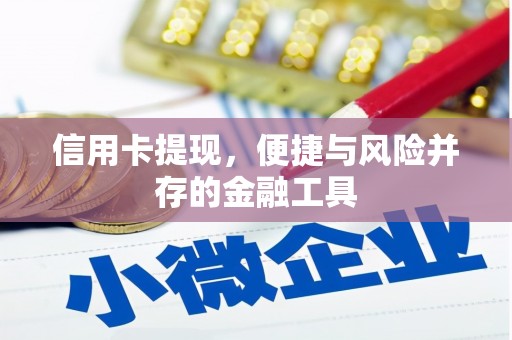 永嘉信用卡提现，便捷与风险并存的金融工具