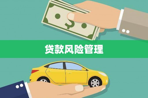 永嘉贷款风险管理