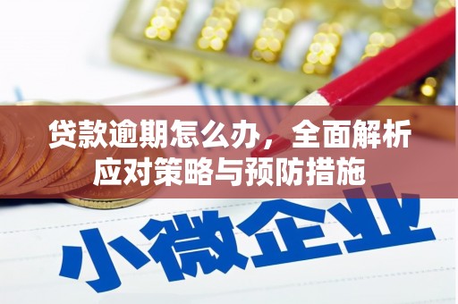 永嘉贷款逾期怎么办，全面解析应对策略与预防措施