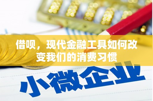 永嘉借呗，现代金融工具如何改变我们的消费习惯