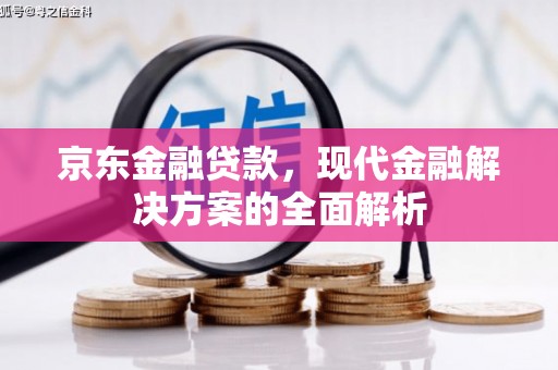 永嘉京东金融贷款，现代金融解决方案的全面解析